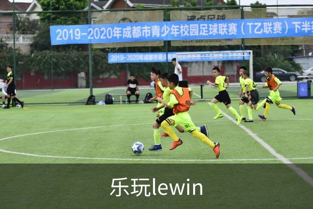 乐玩lewin